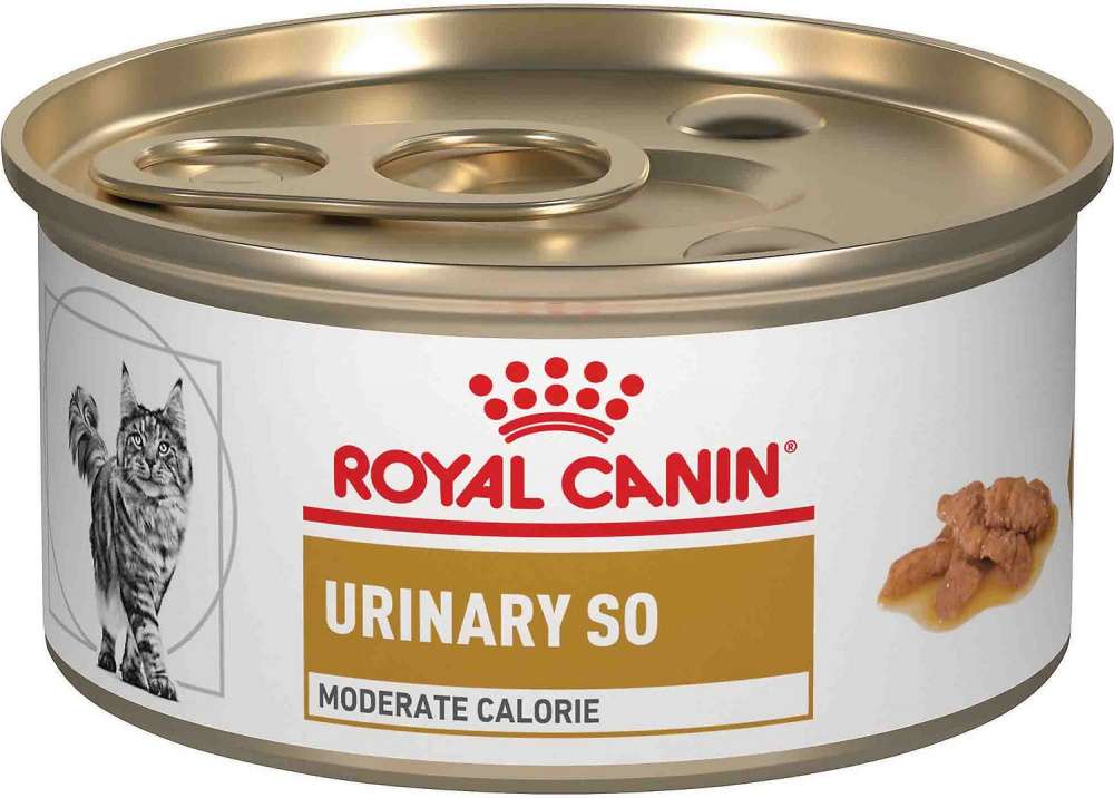 royal-canin-feline-urinary-so-canned-food-urinaryhealthtalk